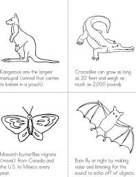 Animal Facts Mini Book Sheet 2 Butterfly Facts Animal Facts Mini Books