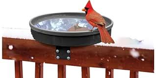 To best attract birds, place the birdbath in a sheltered southeast location and stock with fresh water regularly. Top 6 Heated Bird Baths Of 2020 Video Review