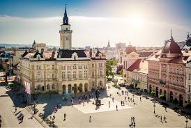The city has a long history, dating back to the 4th century bc, when the area was settled by celtic tribes. Visit Of The Head Of The Council Of Europe Office In Belgrade To The Partners In Novi Sad News