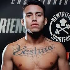 Rafael Dias vs. Bruno Menezes, Iron FC 3