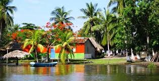 Resultado de imagen de platillos tipicos de pijijiapan