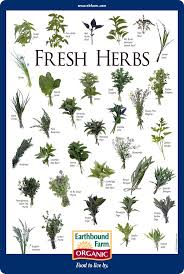 Fresh Herbs Id Chart Earthbound Farm Organic Great Chart