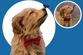 E bunny took a bite out of it. Draw Cartoon Pet As Dogs Cats Rabbit And Others By Userddyni Fiverr