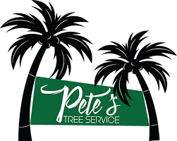Pete S Tree Service Tree Services Exeter Ca