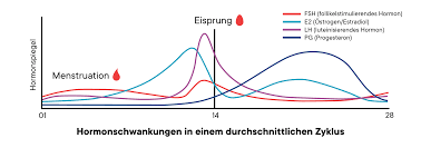 Eisprung Was Ist Das Und Woher Weiss Ich Wann Ich Ihn Habe