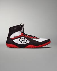 Image result for Aspilia rudis