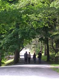 Book Your Tickets Online For Point Pleasant Park Halifax See 715 Reviews Articles And 171 Photos Of Point Pl Shakespeare In The Park Halifax Point Pleasant