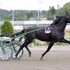 Welcome to elitloppet after a win in $23,200 dartster f:s race at solvalla on wednesday night (april 7). 1