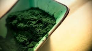What can you not take with spirulina? Does Spirulina Have Any Side Effects