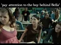 The Mistakes Of Twilight Quite Funny Didnt Relize Most Of Them Twilight Book Twilight Saga Books Twilight Memes