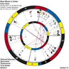 13 Zodiac Astrology