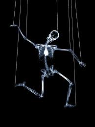 Skeleton With Images Xray Art Art Wallpaper Skeleton Puppet