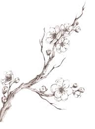 Black And White Line Art Cherry Blossom Tattoo Resultat De Recherche D Images Pour Cherry Blossom Drawing Cherry Blossom Drawing Cherry Blossom Art Blossoms Art