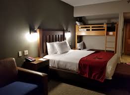 Wifi is free in public spaces. A Look Inside The Great Wolf Lodge In Bloomington Minnesota That Was A First