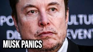 Elon Musk Goes FULL PANIC After Crashing Tesla With Disastrous DOGE Retreat 
