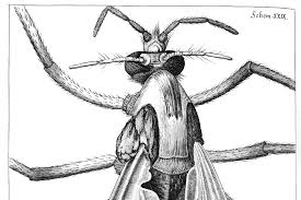 They can only eat liquids but they can turn many. Eating Flies Propeller