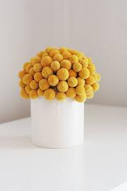 Craspedia Cluster In White Modern Dried Flower Etsy Dried Flower Arrangements Dried Flowers Flower Arrangements
