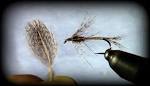 Fly Tying Techniques: Hungarian Partridge Feathers -