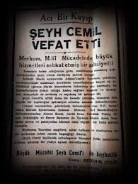 Adana Şeyh Cemil Nardalı Konağı