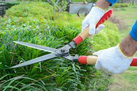 It efficiently adapts the mowing speed to match your stride for ultimate comfort. Must Have Lawn Care Tools Home Matters Ahs