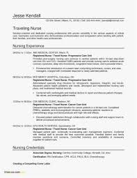 Resume Templates Free Word Document Best Of Free Simple Resume ...