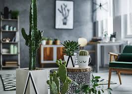 Las plantas naturales aportan un toque de color muy bonito a los interiores minimalistas. Easy Jardinn