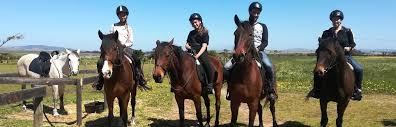 There will be challenging climbs with rewarding fast, sweeping single track down. Cape Town Horse Riding Game Reserve And Wine Tasting Horse Rides