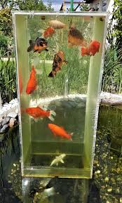 Aussichtsturm Fur Fische Selbst Bauen Fischturm Aussichtsturm Gartenteich