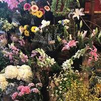 Little shop of flowers dc. A Little Shop Of Flowers Flower Shop In Adams Morgan