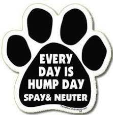 Check spelling or type a new query. 15 Spay And Neuter Quotes Ideas Neuter Spay Animal Rescue