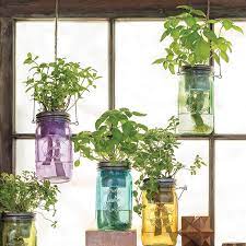 This system uses deep water culture (dwc), which means your plant roots are submerged in water, but there are air pumps delivering air to your plant roots around the Self Watering Mason Jar Indoor Herb Garden