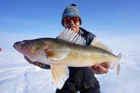 Walleye combos come well equipped with a rod, a reel, and usually fishing line already on it. How To Rig Your Ice Fishing Rods And Reels For Any Fish