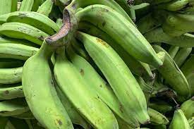 Rasa buahnya asam manis sehingga harus dimasak terlebih dahulu sebelum dimakan. 4 Jenis Pisang Yang Cocok Untuk Gorengan Yang Manis Halaman All Kompas Com