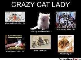Pin On Funny