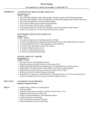 studio assistant resume samples