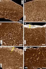 Most of my masks are pagan in appearance, and make a political or social statement. Mapping Diagenesis In Archaeological Human Bones Heritage Science Full Text