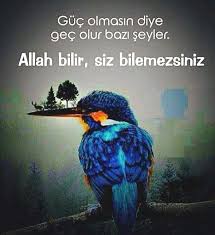 Vuslat Leyla Bayramoglu Adli Kullanicinin Ozlu Sozler Panosundaki Pin Guzel Soz Ozlu Sozler