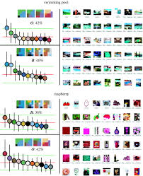 There are two types of camels: Optimality Of The Basic Colour Categories For Classification Journal Of The Royal Society Interface