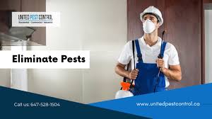 Call us now to discover more. United Pest Control Home Facebook