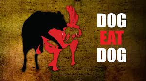 Prime Video: Dog Eat Dog