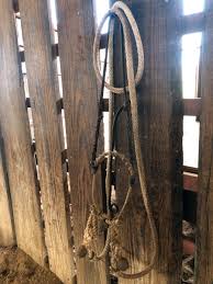 The Foundation: The Trainers Behind the Trainers