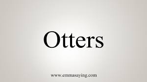 We'd like the opportunity to address will the otter app use up my mobile data plan? How To Say Otters Youtube