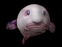 Hidupan laut semua hidupan di permukaan bergantung kepada kehidupan di dalam dan dasar laut. Yang Hidup Di Dasar Laut