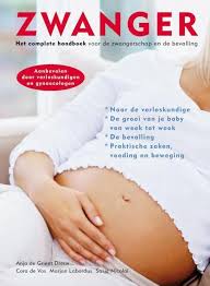 Bol Com Zwanger Anja De Grient Dreux 9789049106355 Boeken