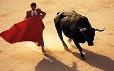 73 Người đấu Bò Ảnh, Ảnh Và Hình Nền Để Tải Về Miễn Phí ...