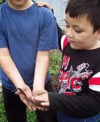 The Sharing Gardens : Flying by the 'Seed of Our Plants'
