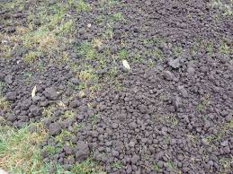 We delivery/install the best quality mulch in the upstate. Mulchmart 125 N 10th St Waukee Ia Nurseries Mapquest