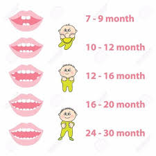 38 Printable Baby Teeth Charts Timelines Template Lab