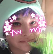 Can two jumping spiders be alone?