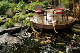 It's pretty much my greatest achievement in life. Koi Pond Portfolio Atlantis Water Gardens